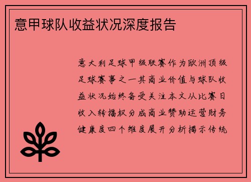意甲球队收益状况深度报告