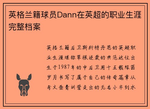 英格兰籍球员Dann在英超的职业生涯完整档案